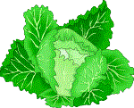 corned beef goes great with cabbage