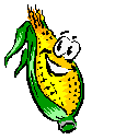 Lively Veggies
