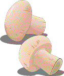 golden mushrooms