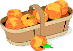 ripe Georgia peaches