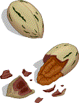 everyone loves pecans