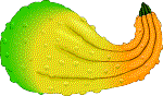fall colored squash