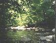 Nature abounds in the Smokies