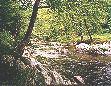 The trout are waiting for you